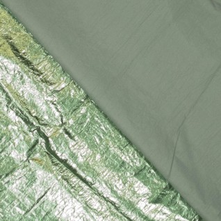 variant