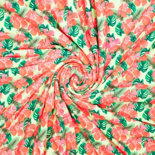 Knit ny/ea swimwear dig...